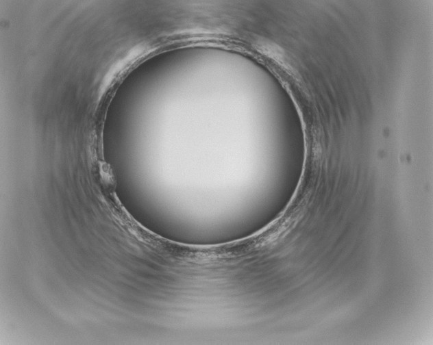 X0000060271357200511112036