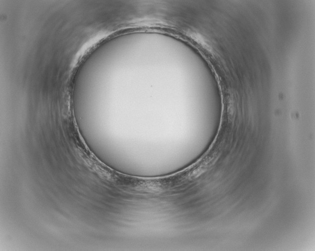 X0000060271358200511112036