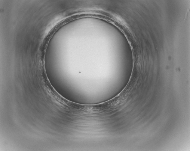 X0000060271360200511112036