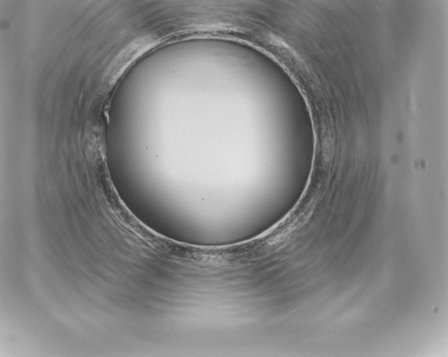 X0000060271361200511112036