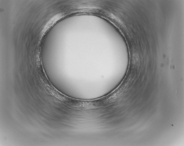 X0000060271362200511112036