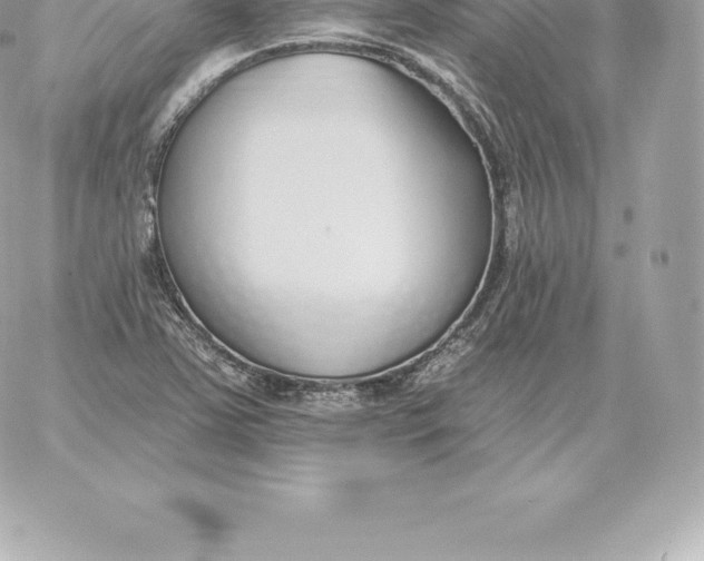 X0000060271363200511112036