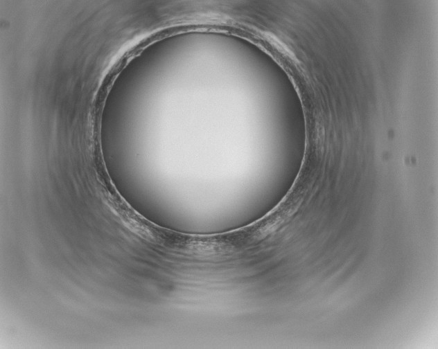 X0000060271364200511112036