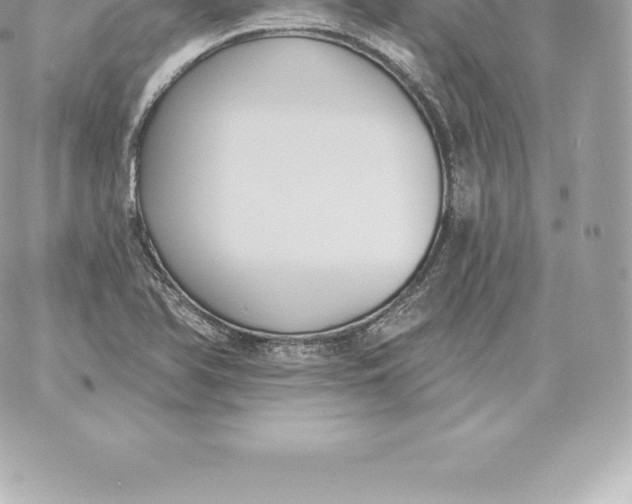 X0000060271366200511112036