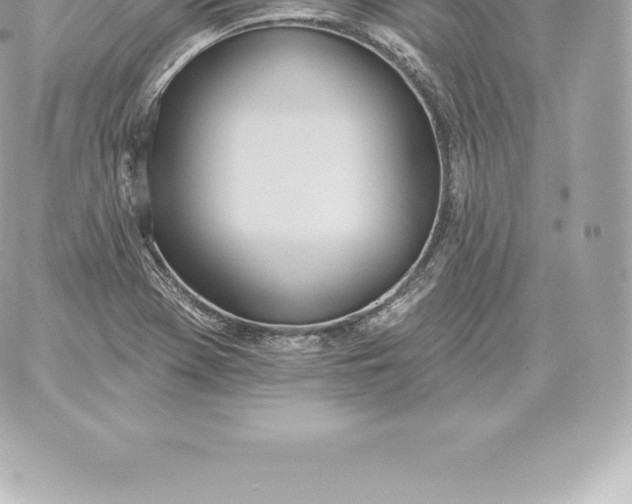 X0000060271369200511112036