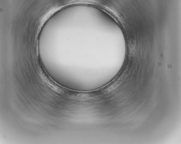 X0000060271371200511112036