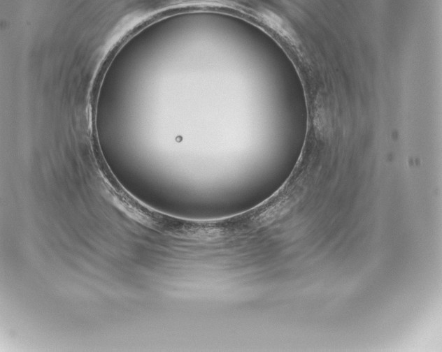 X0000060271372200511112036