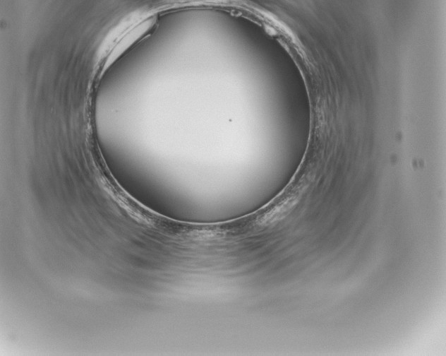 X0000060271373200511112036