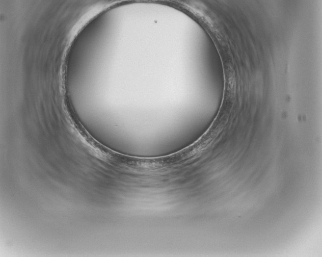 X0000060271375200511112036