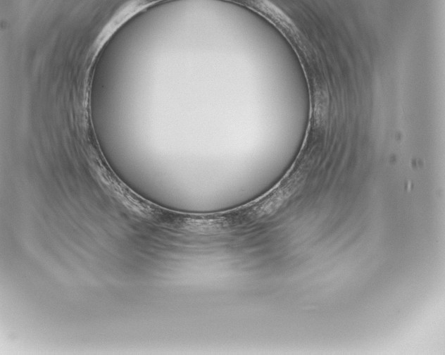 X0000060271378200511112036