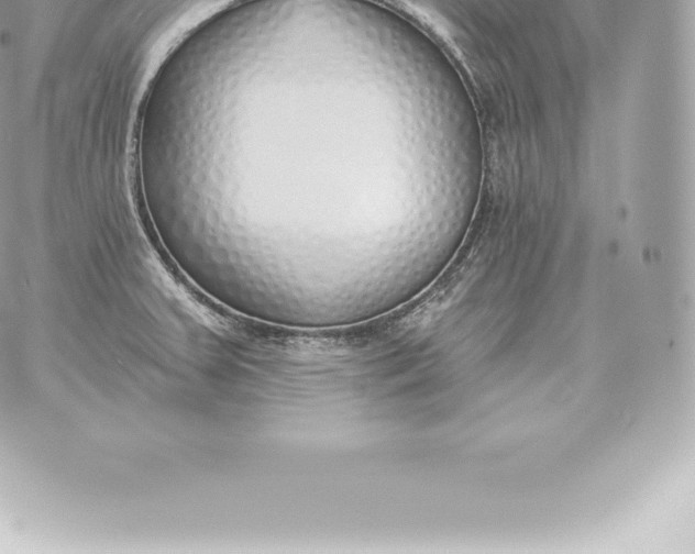 X0000060271379200511112036