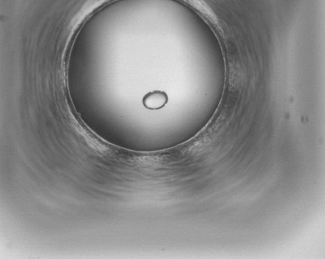 X0000060271380200511112036