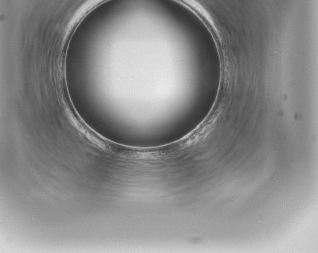 X0000060271381200511112036