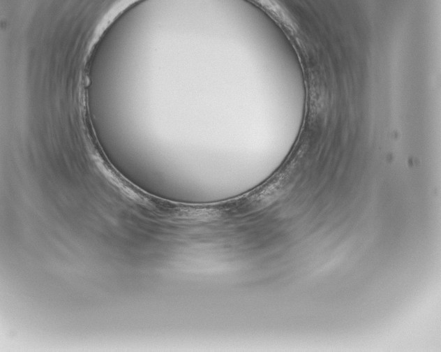 X0000060271382200511112036