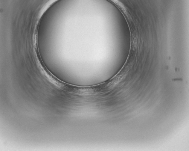 X0000060271383200511112036