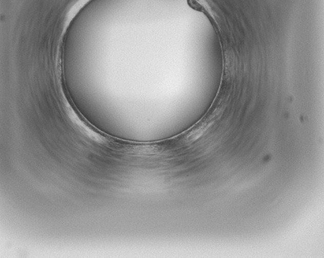 X0000060271387200511112036