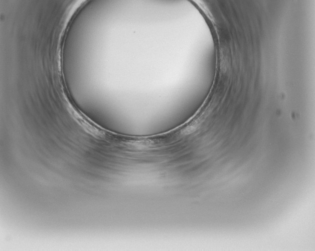 X0000060271388200511112036