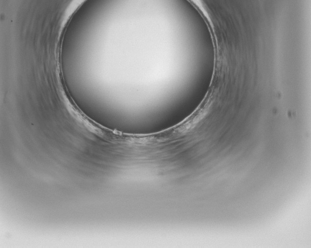 X0000060271389200511112036