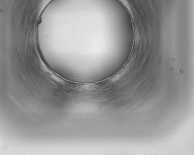 X0000060271390200511112036