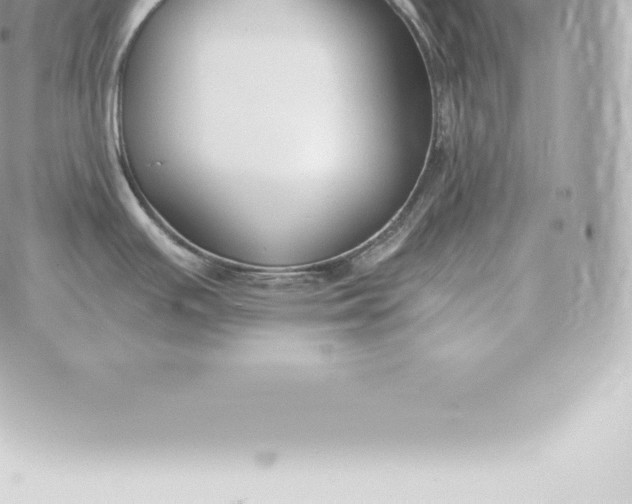 X0000060271391200511112036