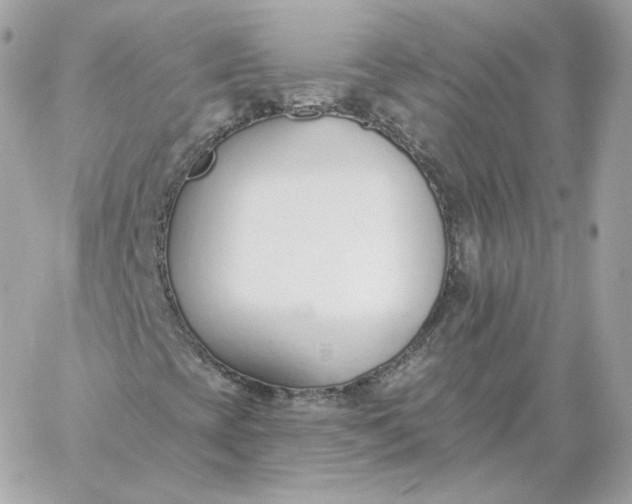 X0000060271393200511112035