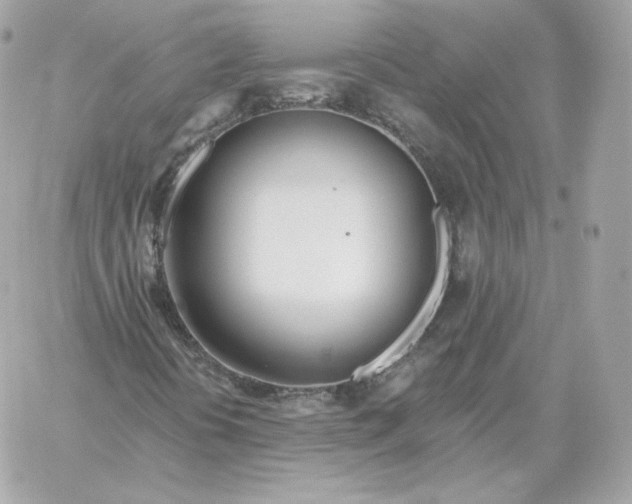 X0000060271394200511112035