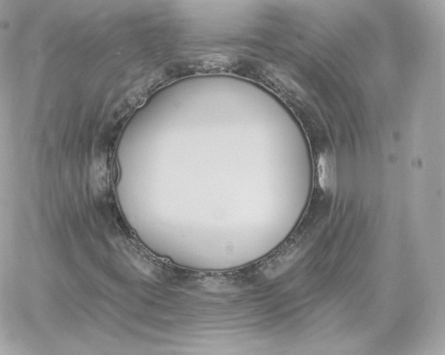 X0000060271395200511112035