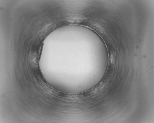 X0000060271396200511112035