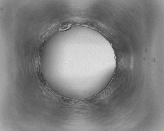 X0000060271397200511112035