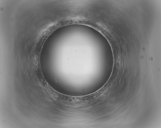 X0000060271398200511112035