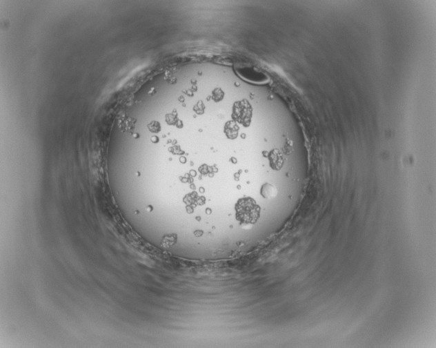 X0000060271399200511112035