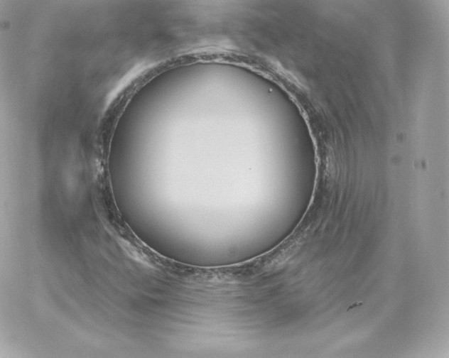 X0000060271400200511112035