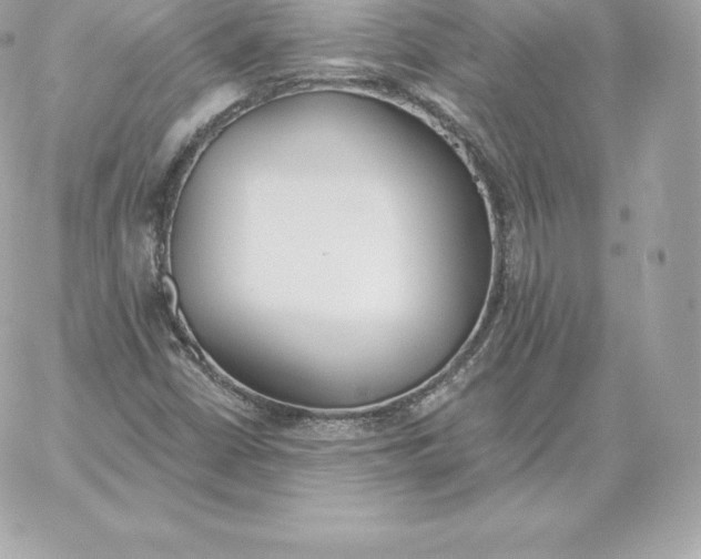 X0000060271402200511112035