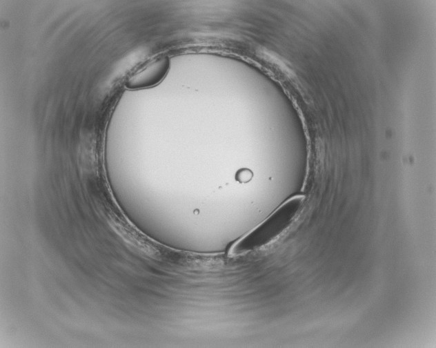 X0000060271403200511112035