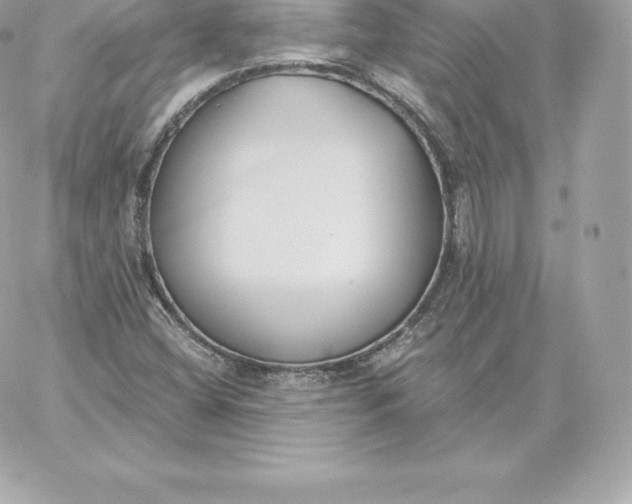 X0000060271404200511112035