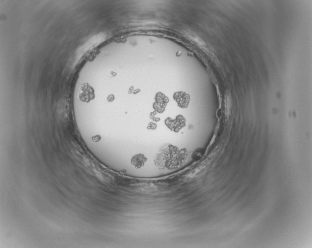 X0000060271405200511112035