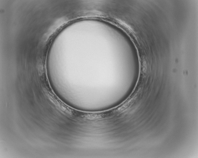 X0000060271407200511112035