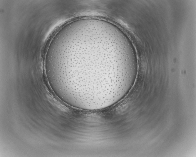 X0000060271408200511112035