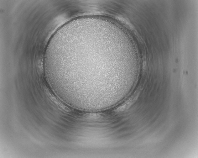 X0000060271409200511112035