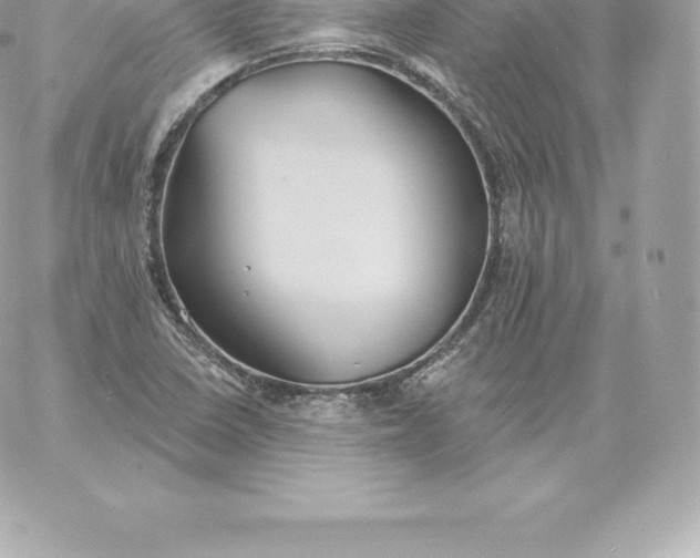 X0000060271410200511112035