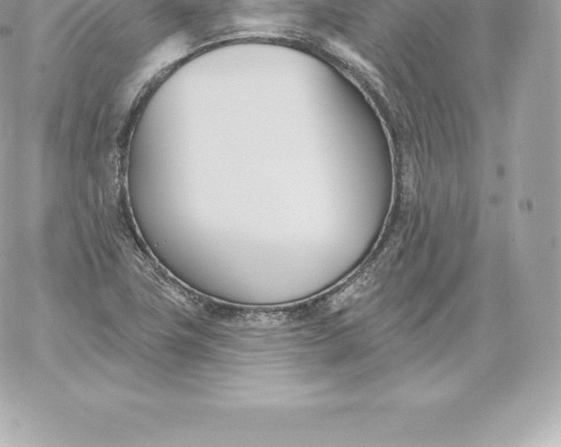 X0000060271411200511112035