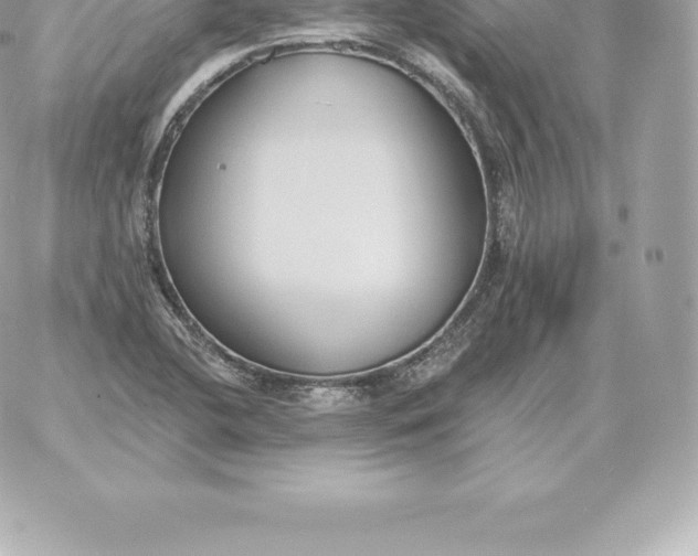 X0000060271412200511112035