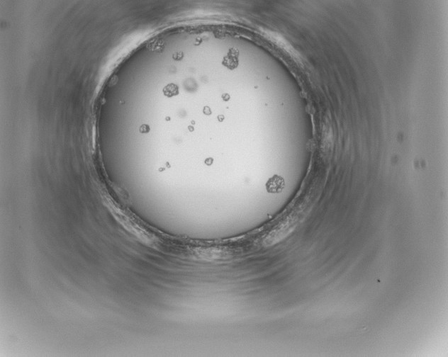 X0000060271413200511112035