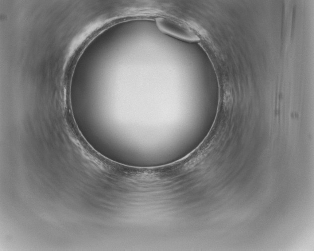 X0000060271414200511112035