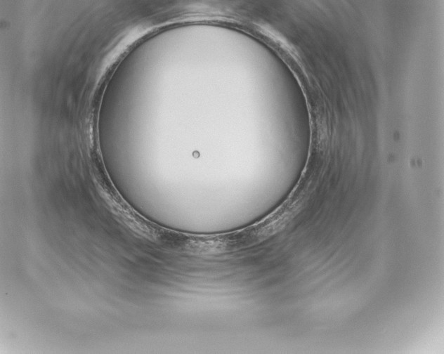 X0000060271415200511112035