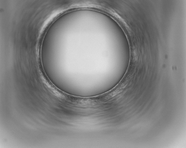 X0000060271416200511112035