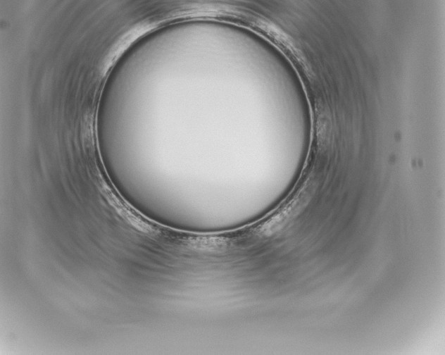 X0000060271417200511112035