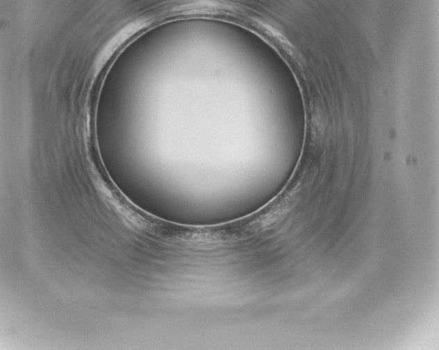 X0000060271418200511112035