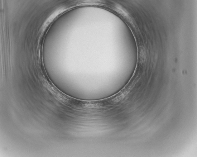 X0000060271419200511112035