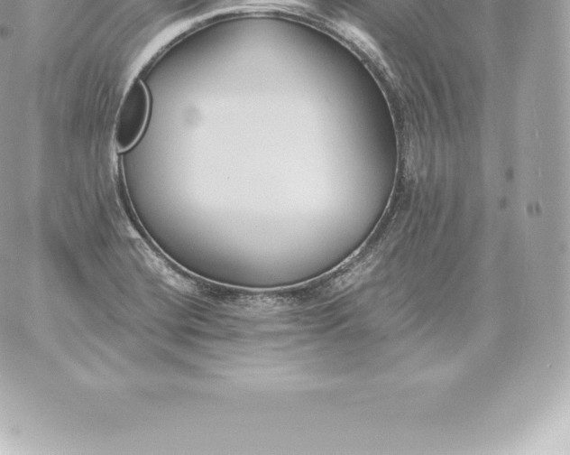 X0000060271420200511112035